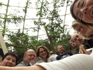 IMG-20160201-WA0003