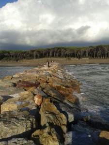 img-20161020-wa0028