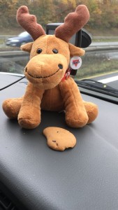 img-20161022-wa0006
