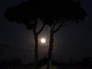 Tag5_04