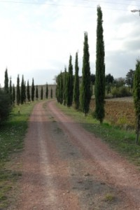Tag6_04