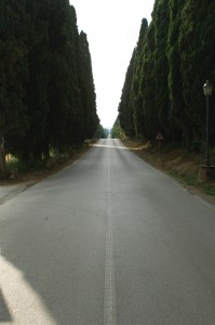 Toskana 2014   347